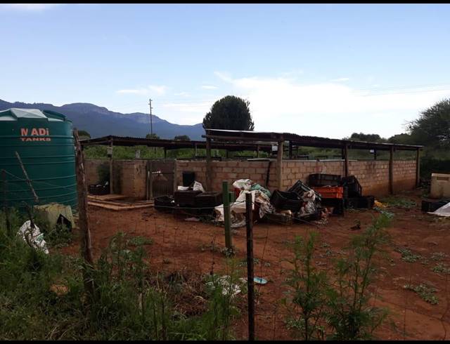 171HA FARM FOR SALE IN LOUIS TRICHARDT RURAL